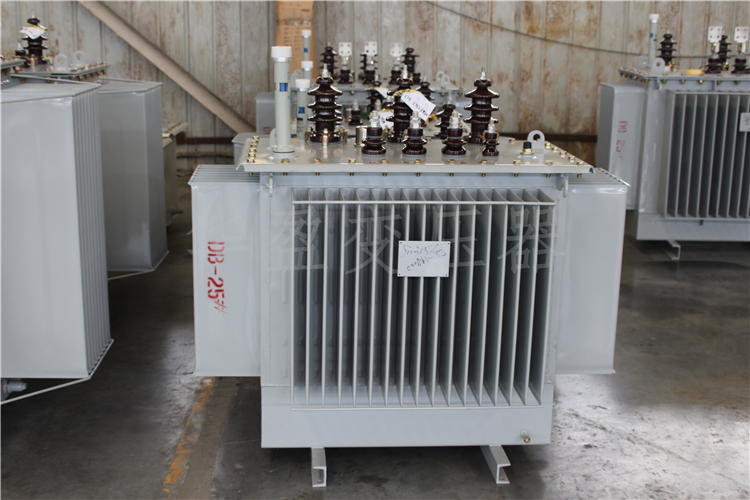 昌都S20-800kVA/10kV/0.4kV变压器